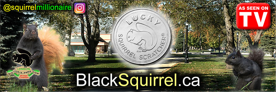The Lucky Coin Designed by TLC's Squirrel Millionaire Ric Wallace
